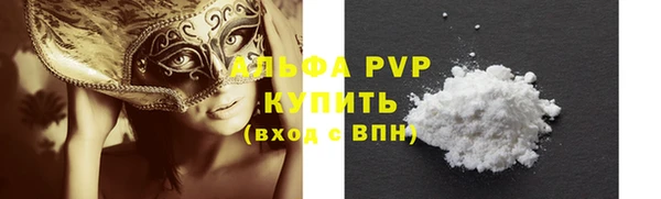 прущие грибы Наволоки