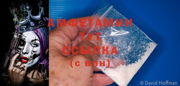 прущие грибы Наволоки
