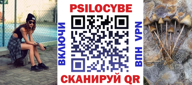 где найти наркотики  Северская  Псилоцибиновые грибы Psilocybe 