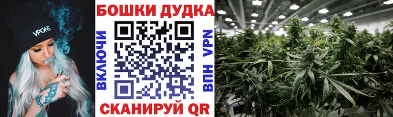 Конопля индика  купить наркотик  Северская 